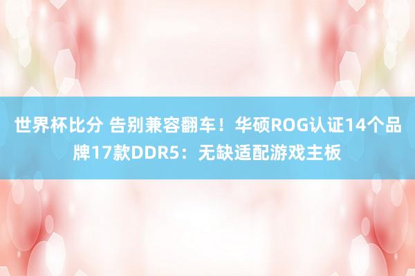 世界杯比分 告别兼容翻车！华硕ROG认证14个品牌17款DDR5：无缺适配游戏主板