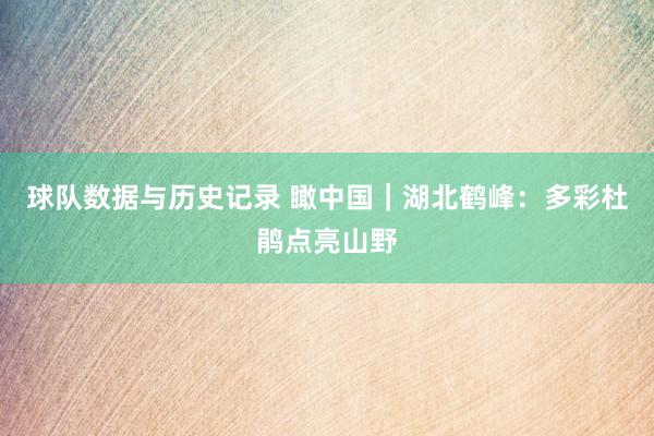 球队数据与历史记录 瞰中国｜湖北鹤峰：多彩杜鹃点亮山野