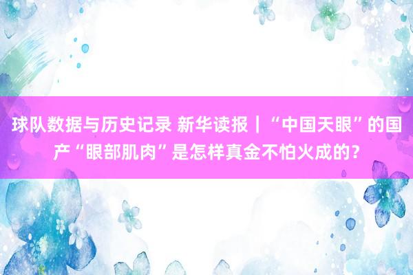 球队数据与历史记录 新华读报｜“中国天眼”的国产“眼部肌肉”是怎样真金不怕火成的？