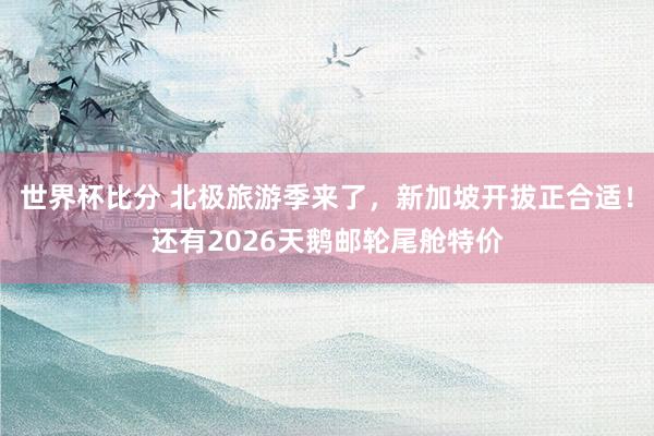 世界杯比分 北极旅游季来了,新加坡开拔正合适!还有2026天鹅邮轮尾舱特价