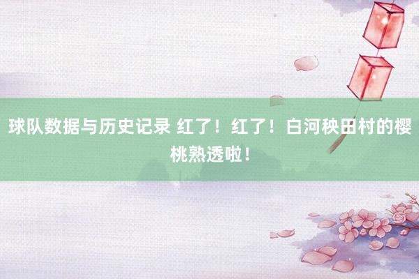 球队数据与历史记录 红了!红了!白河秧田村的樱桃熟透啦!