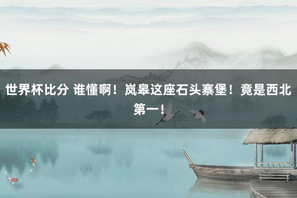 世界杯比分 谁懂啊！岚皋这座石头寨堡！竟是西北第一！