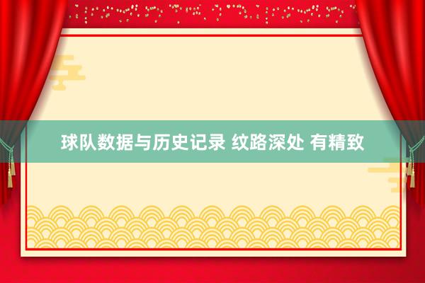 球队数据与历史记录 纹路深处 有精致
