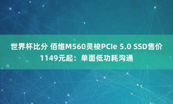 世界杯比分 佰维M560灵梭PCIe 5.0 SSD售价1149元起：单面低功耗沟通