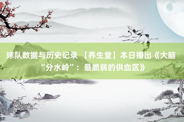 球队数据与历史记录 【养生堂】本日播出《大脑 “分水岭”：最脆弱的供血区》