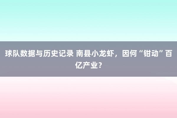 球队数据与历史记录 南县小龙虾，因何“钳动”百亿产业？