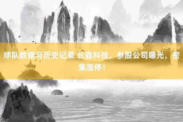 球队数据与历史记录 长鑫科技，参股公司曝光，密集涨停！