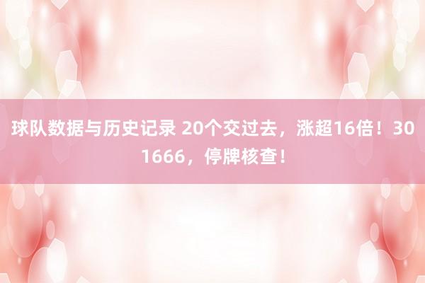 球队数据与历史记录 20个交过去，涨超16倍！301666，停牌核查！
