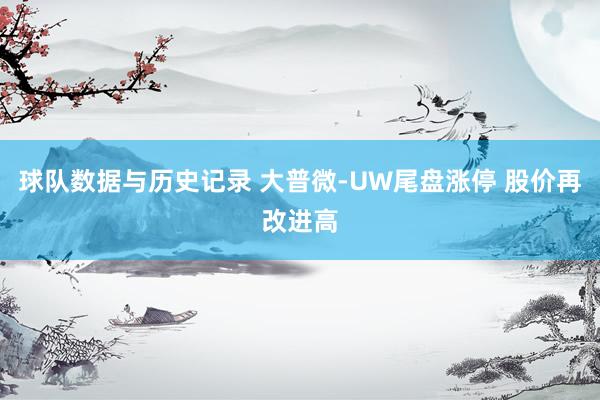 球队数据与历史记录 大普微-UW尾盘涨停 股价再改进高
