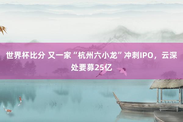 世界杯比分 又一家“杭州六小龙”冲刺IPO，云深处要募25亿