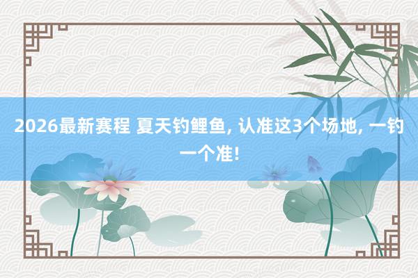 2026最新赛程 夏天钓鲤鱼， 认准这3个场地， 一钓一个准!