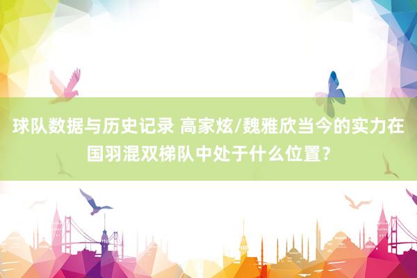 球队数据与历史记录 高家炫/魏雅欣当今的实力在国羽混双梯队中处于什么位置？