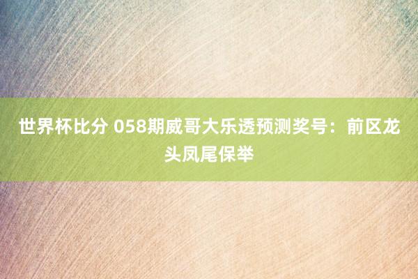 世界杯比分 058期威哥大乐透预测奖号：前区龙头凤尾保举
