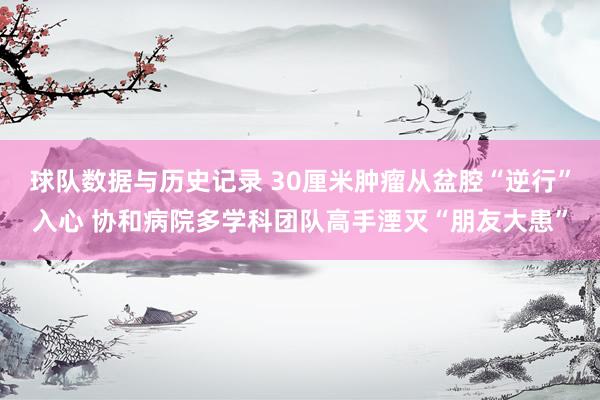 球队数据与历史记录 30厘米肿瘤从盆腔“逆行”入心 协和病院多学科团队高手湮灭“朋友大患”