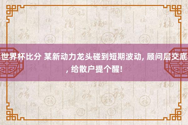 世界杯比分 某新动力龙头碰到短期波动， 顾问层交底， 给散户提个醒!