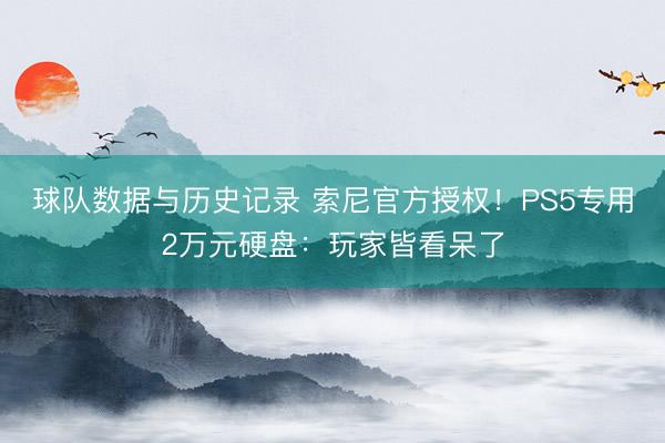 球队数据与历史记录 索尼官方授权!PS5专用2万元硬盘:玩家皆看呆了